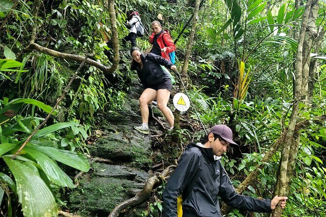 Bach Ma National Park trekking deluxe daily tour from Hue - Hai Vong Dai and the walk to Bach Ma Peak (1,450 m)