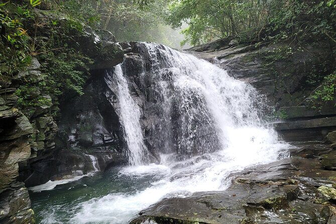 Bach Ma National Park trekking deluxe daily tour from Hue - Picnic lunch: simple fuel in the middle of the day