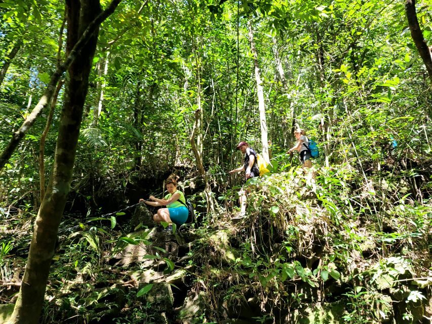 From Hue: Bach Ma National Park Hiking Day Trip with Pickup - Trail reality: steep steps, slippery stones, and what to pack