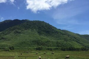 HAI VAN PASS MOTORBIKE TOUR - Top Gear Experience - Safety briefing, helmets, and the kind of driver you want