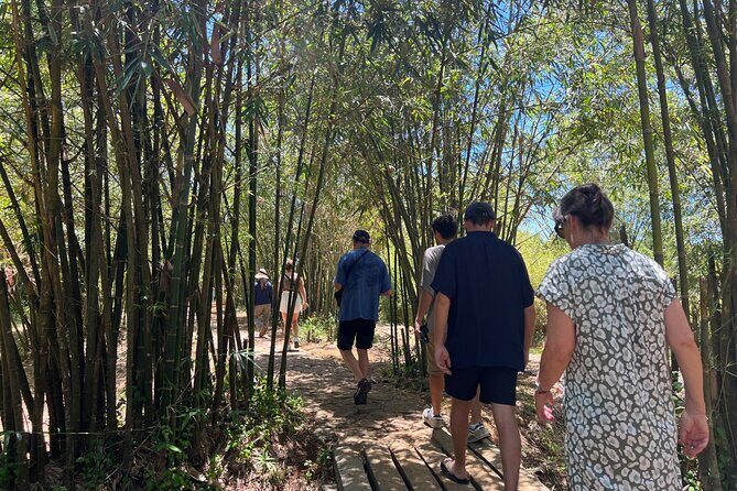 Half- Dmz (demilitarized Zone) Tour From Hue - From Hue to the DMZ: comfort, timing, and what 6 hours really means
