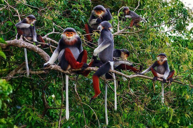 Hue to Dn/Hoi An: Hai Van Pass, beaches & Mt Monkey or vice versa - Pickup, pace, and timing: how to get the best day