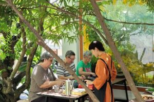 Hue's Vegetarian Cooking Class in Ancient Garden - What You Learn to Cook: Fig & King Oyster Mushroom Salad and An Nhien Rolls