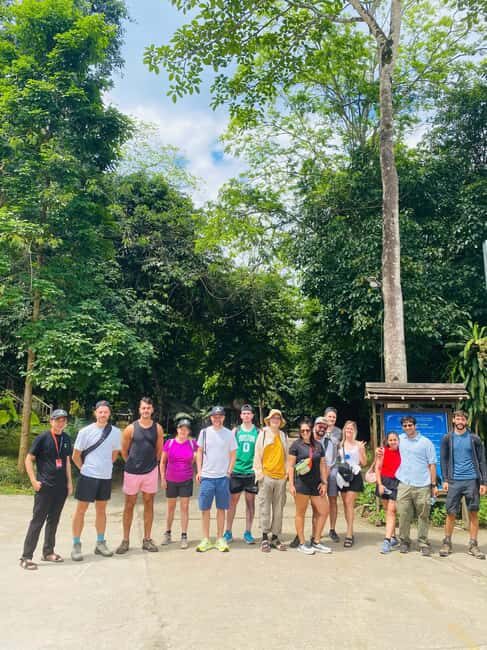 Phong Nha National Park: Paradise Cave Half-Day Tour - What to See in Paradise Cave: Lotus shapes, waterfalls, and ancient-tree vibes