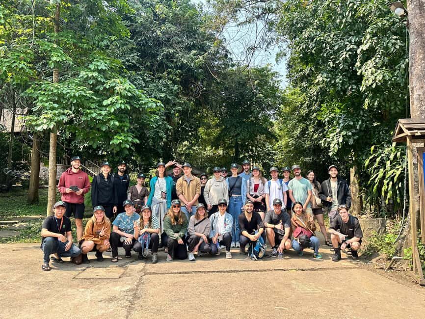 Phong Nha National Park: Paradise Cave Half-Day Tour - The Forest Approach: Why the 1.6 km electric ride matters