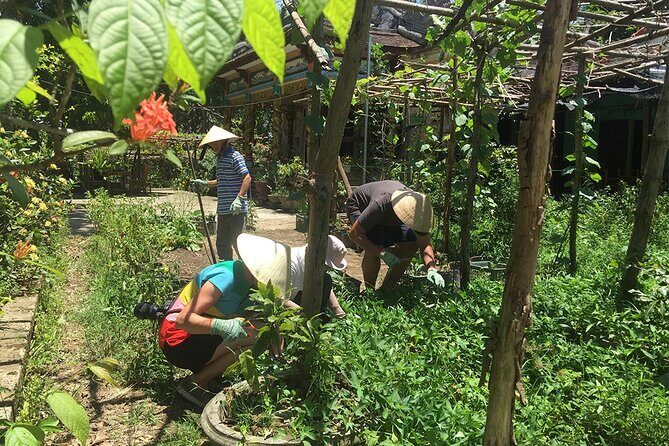 Private Cycling Tour in Rural Hue with Farming Experience - The Thanh Toàn Museum stop: rice culture told like a local story