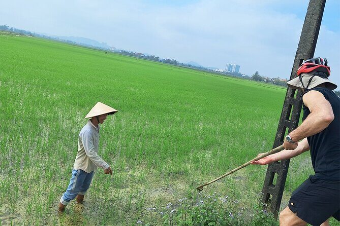 Private Cycling Tour in Rural Hue with Farming Experience - After lunch: the tile-roofed bridge, market energy, and quiet moments