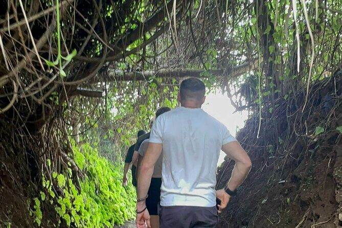 PRIVATE DMZ Tour from Hue - Half Day - Vinh Moc Tunnels - A private half-day DMZ lesson from Hue