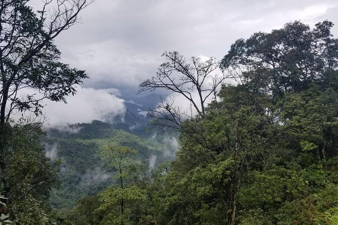 Small Group - Bach Ma National Park Trekking Tour From Hue - Lake 3 at Five Lakes: picnic lunch and real swimming time