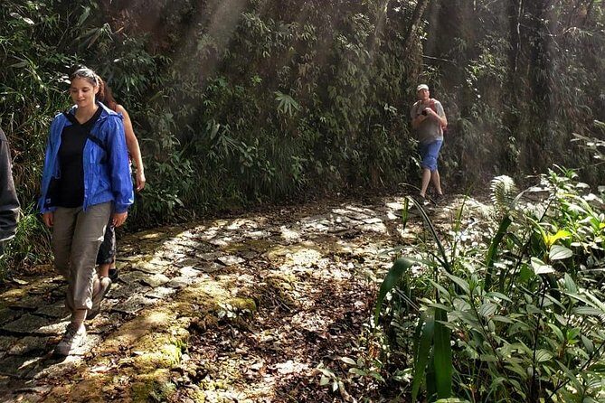 Small Group - Bach Ma National Park Trekking Tour From Hue - Price and logistics: pickup, lunch, tickets, and what’s on you