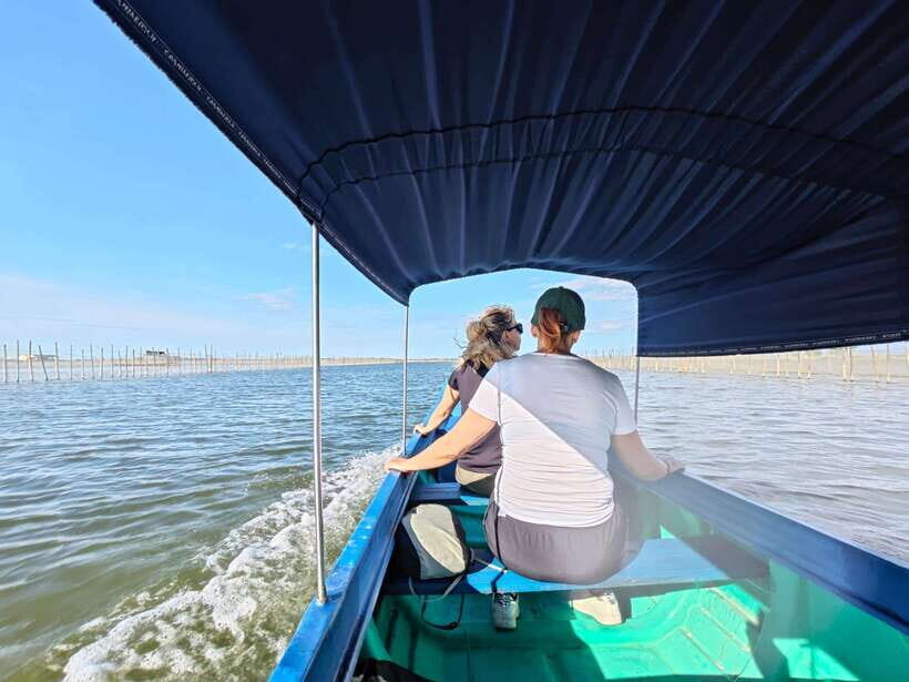 Tam Giang Lagoon & Boat Day Trip with Fishing Experience - Ru Cha Mangrove Forest: the observation tower payoff