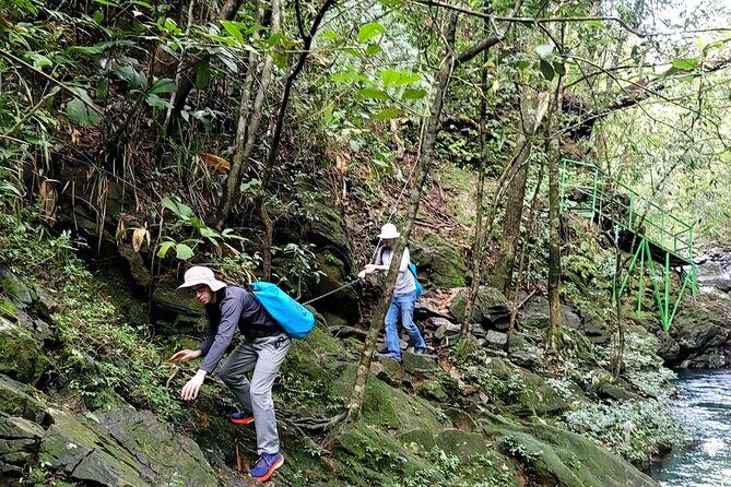Transfer from Hue to Da Nang or Hoi An via Bach Ma National Park - Step into Bach Ma National Park: gate check-in and the Ngu Ho trek